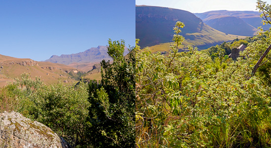 Giants Castle Camp Drakensberg Accommodation Giants Castle Game Reserve Drakensberg KwaZulu-Natal Self-Catering Accommodation