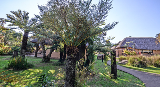 Giants Castle Camp Drakensberg Accommodation Giants Castle Game Reserve Drakensberg KwaZulu-Natal Self-Catering Accommodation